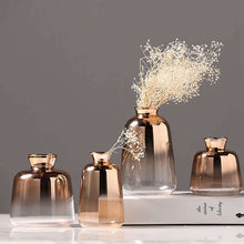 Load image into Gallery viewer, Glass Vase Nordic Electroplated Gold Vase Glass Flower Vases For Home Decor Dried Flower Bottle Bar Restaurant Decoration