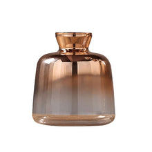 Load image into Gallery viewer, Glass Vase Nordic Electroplated Gold Vase Glass Flower Vases For Home Decor Dried Flower Bottle Bar Restaurant Decoration
