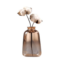 Load image into Gallery viewer, Glass Vase Nordic Electroplated Gold Vase Glass Flower Vases For Home Decor Dried Flower Bottle Bar Restaurant Decoration