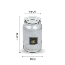 Load image into Gallery viewer, Nordic Design Glass Vase European Decoration Home Flower Vase Flower Arrangement Hydroponic Tabletop Vase For Flower Decoration