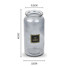 Load image into Gallery viewer, Nordic Design Glass Vase European Decoration Home Flower Vase Flower Arrangement Hydroponic Tabletop Vase For Flower Decoration