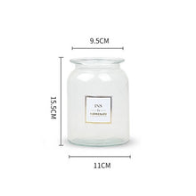 Load image into Gallery viewer, Nordic Design Glass Vase European Decoration Home Flower Vase Flower Arrangement Hydroponic Tabletop Vase For Flower Decoration