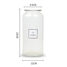 Load image into Gallery viewer, Nordic Design Glass Vase European Decoration Home Flower Vase Flower Arrangement Hydroponic Tabletop Vase For Flower Decoration