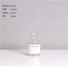 Load image into Gallery viewer, Nordic Design Glass Vase European Decoration Home Flower Vase Flower Arrangement Hydroponic Tabletop Vase For Flower Decoration