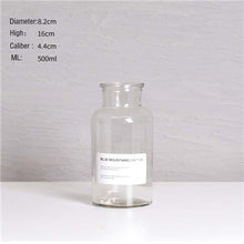 Load image into Gallery viewer, Nordic Design Glass Vase European Decoration Home Flower Vase Flower Arrangement Hydroponic Tabletop Vase For Flower Decoration