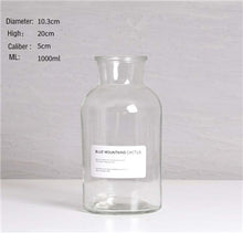 Load image into Gallery viewer, Nordic Design Glass Vase European Decoration Home Flower Vase Flower Arrangement Hydroponic Tabletop Vase For Flower Decoration