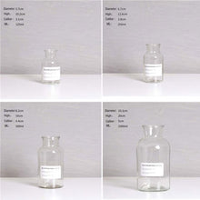 Load image into Gallery viewer, Nordic Design Glass Vase European Decoration Home Flower Vase Flower Arrangement Hydroponic Tabletop Vase For Flower Decoration