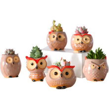Load image into Gallery viewer, Quality Cute Small Owl Shaped Flower Pots Ceramic Mini Succulents Pots Creative Home/Garden/Office Decoration accessories Vases