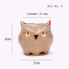 Load image into Gallery viewer, Quality Cute Small Owl Shaped Flower Pots Ceramic Mini Succulents Pots Creative Home/Garden/Office Decoration accessories Vases